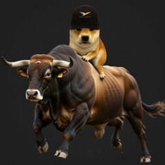 Dogwifhat Riding the Bull