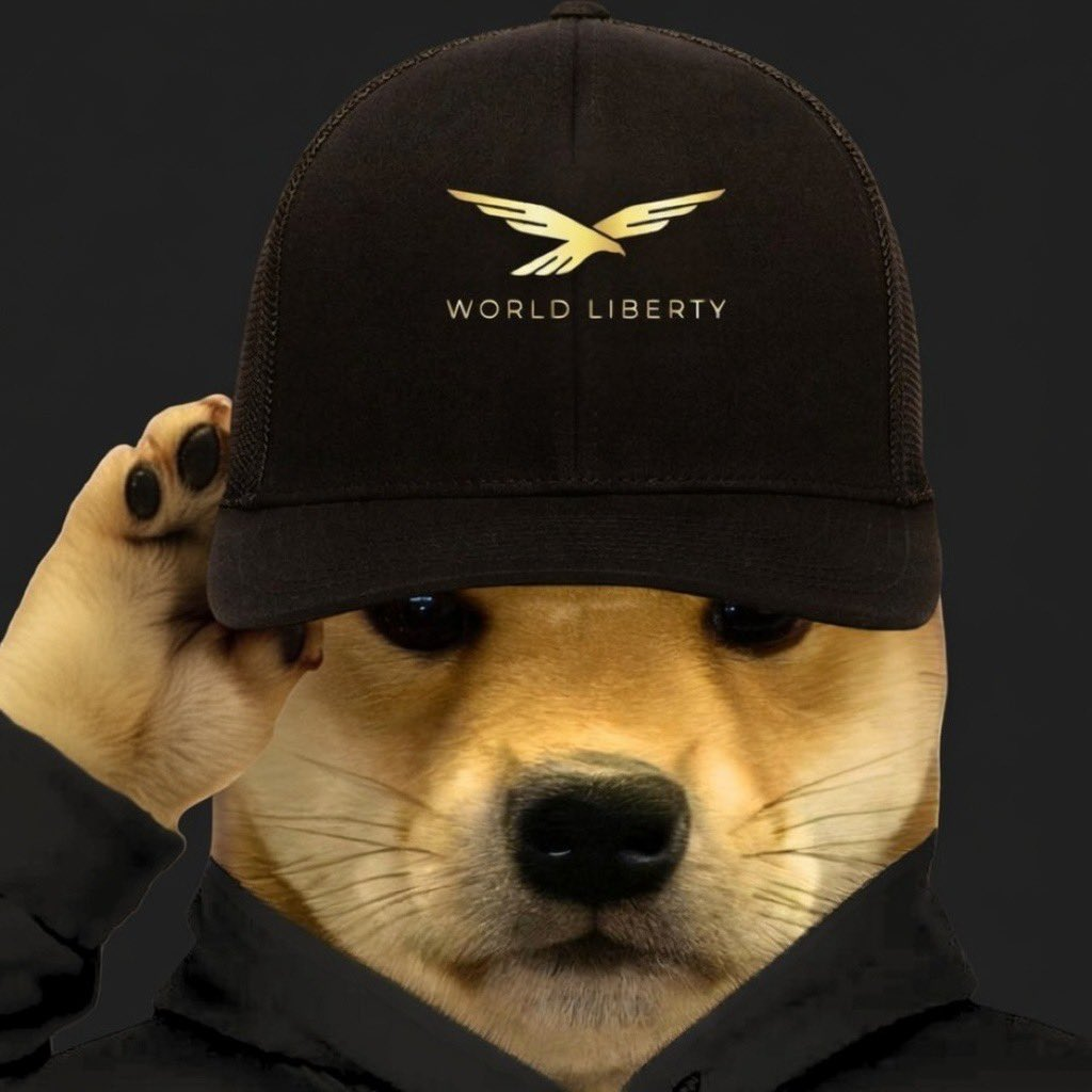Dogwifhat Portrait